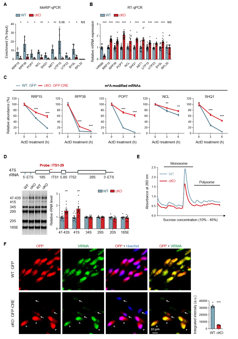 beat365在线体育app