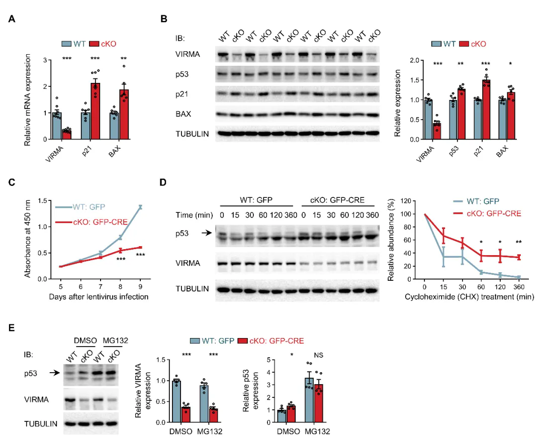 beat365在线体育app