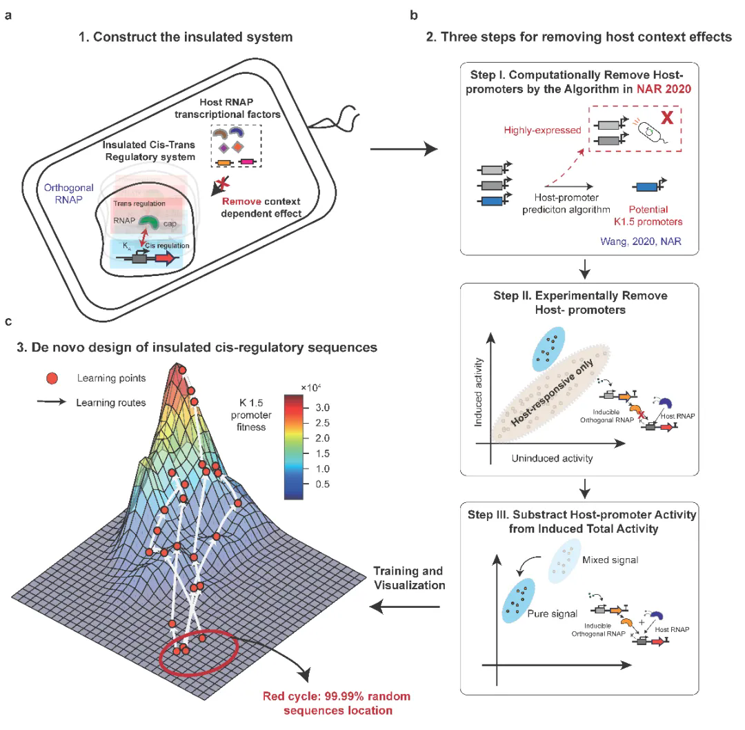 beat365在线体育app