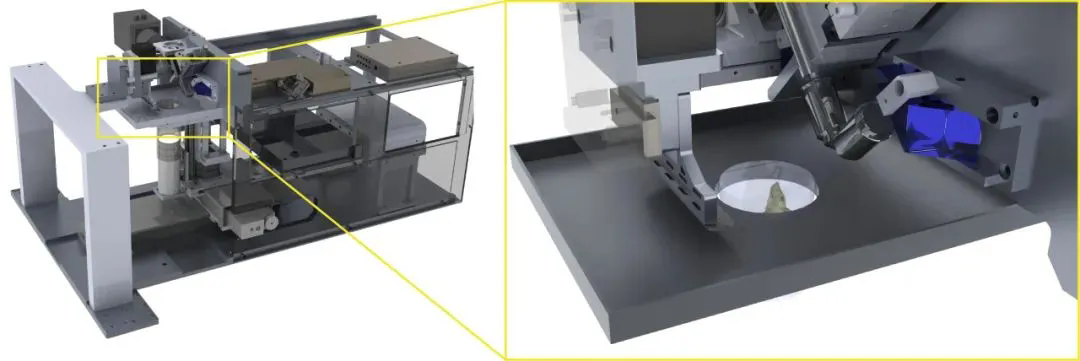 beat365在线体育app