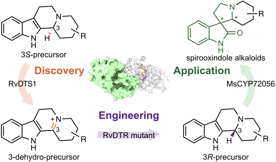beat365在线体育app