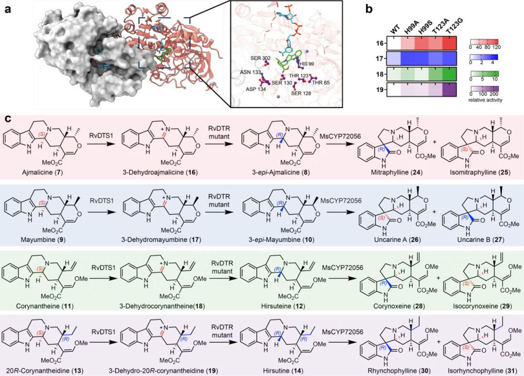 beat365在线体育app