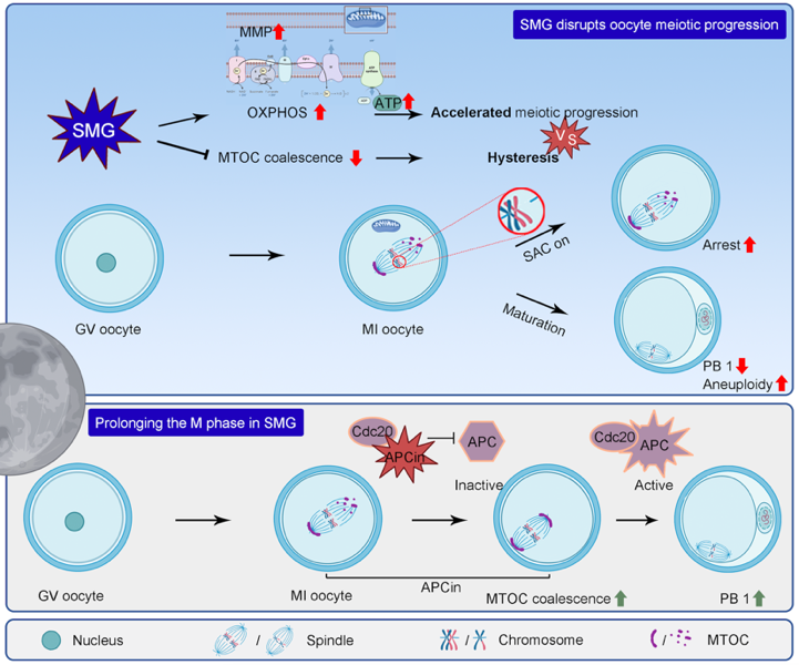 beat365在线体育app
