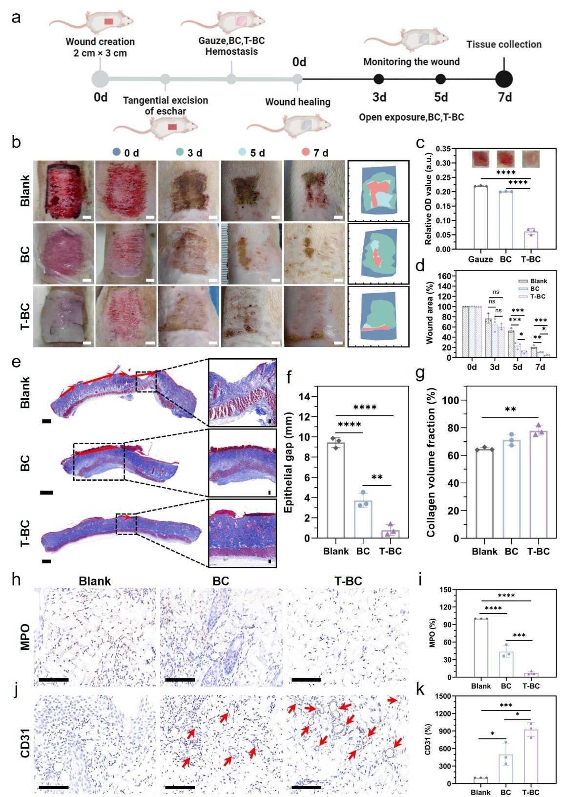 beat365在线体育app