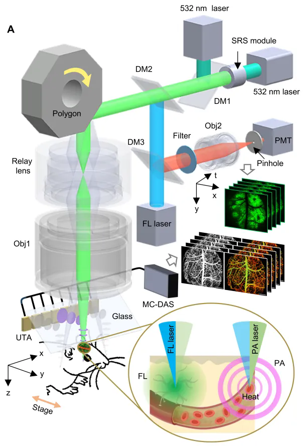 beat365在线体育app