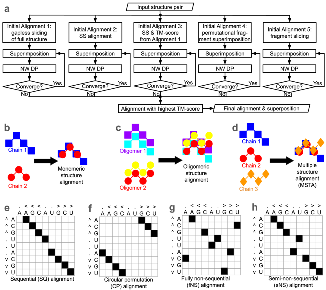 beat365在线体育app