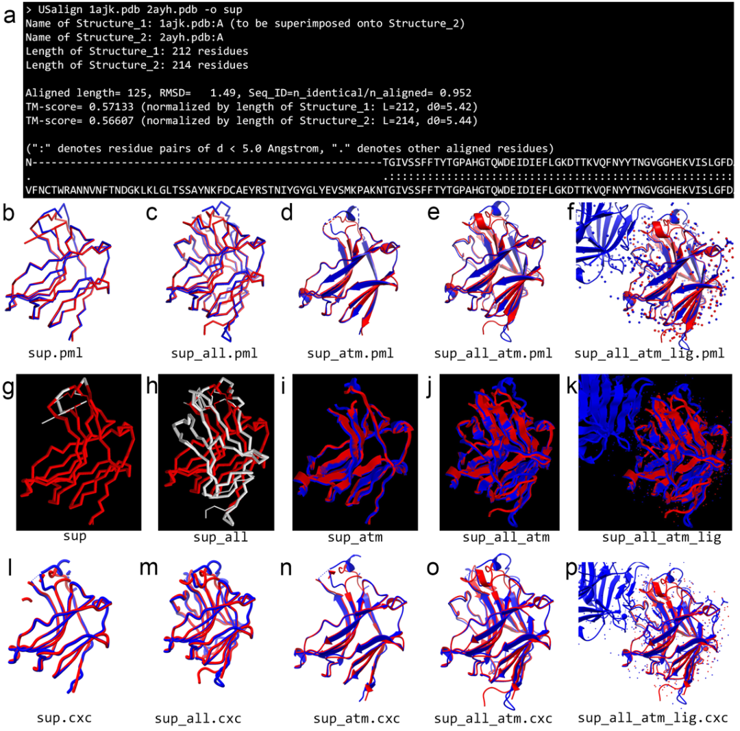beat365在线体育app