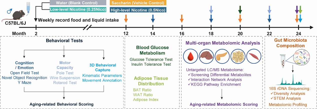 beat365在线体育app