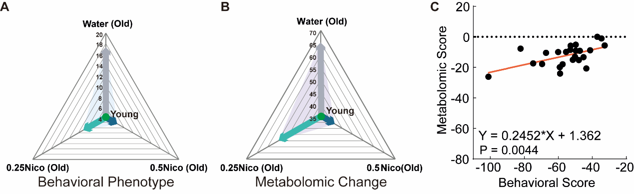 beat365在线体育app