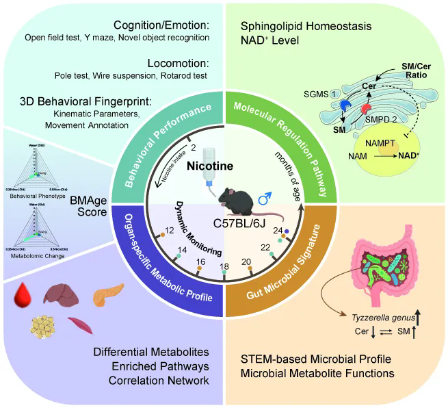 beat365在线体育app