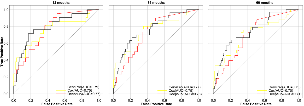 beat365在线体育app
