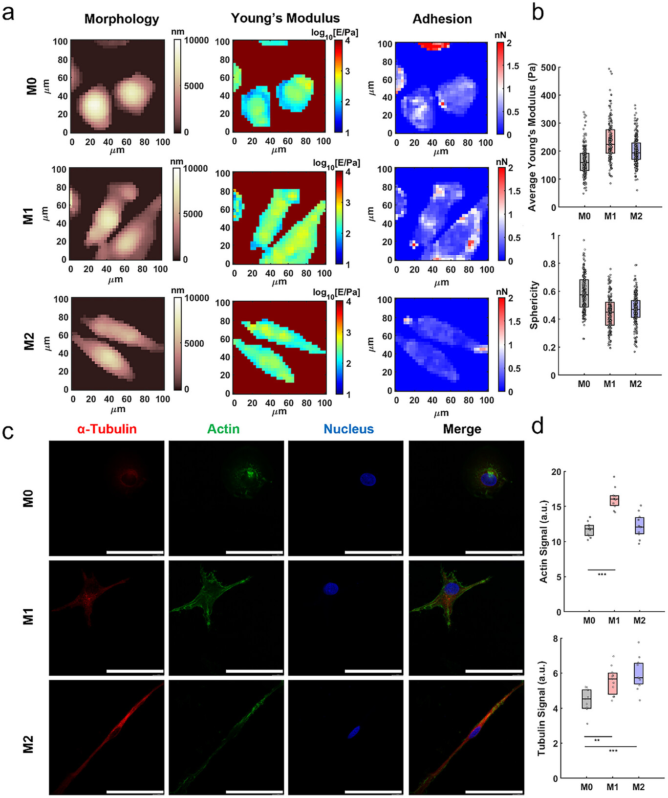 beat365在线体育app