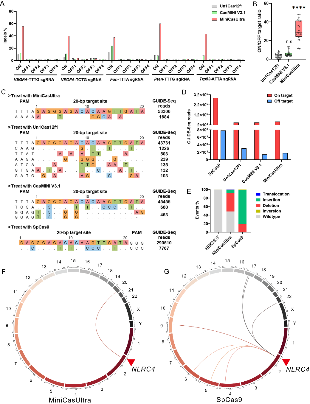 beat365在线体育app