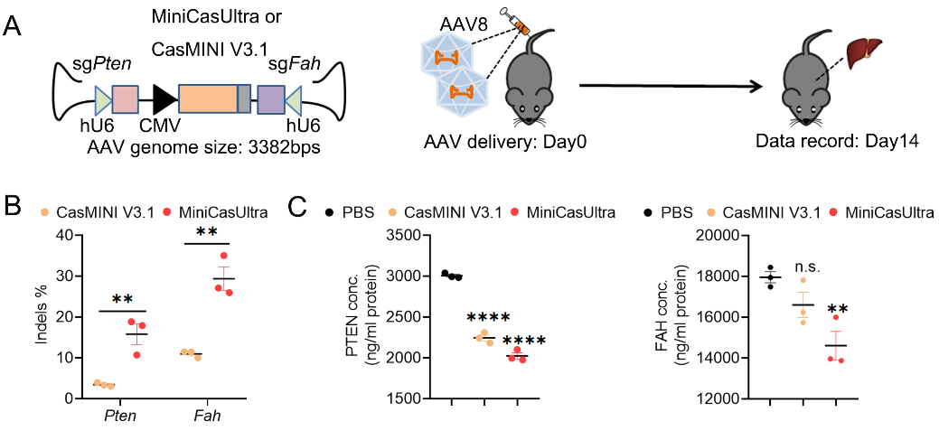 beat365在线体育app