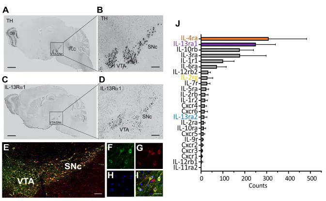 beat365在线体育app