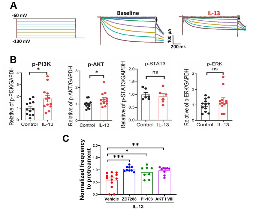 beat365在线体育app