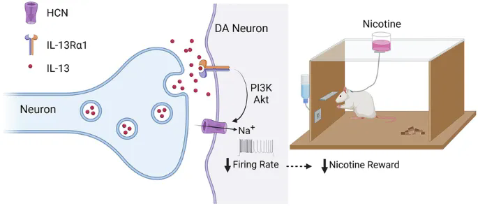 beat365在线体育app