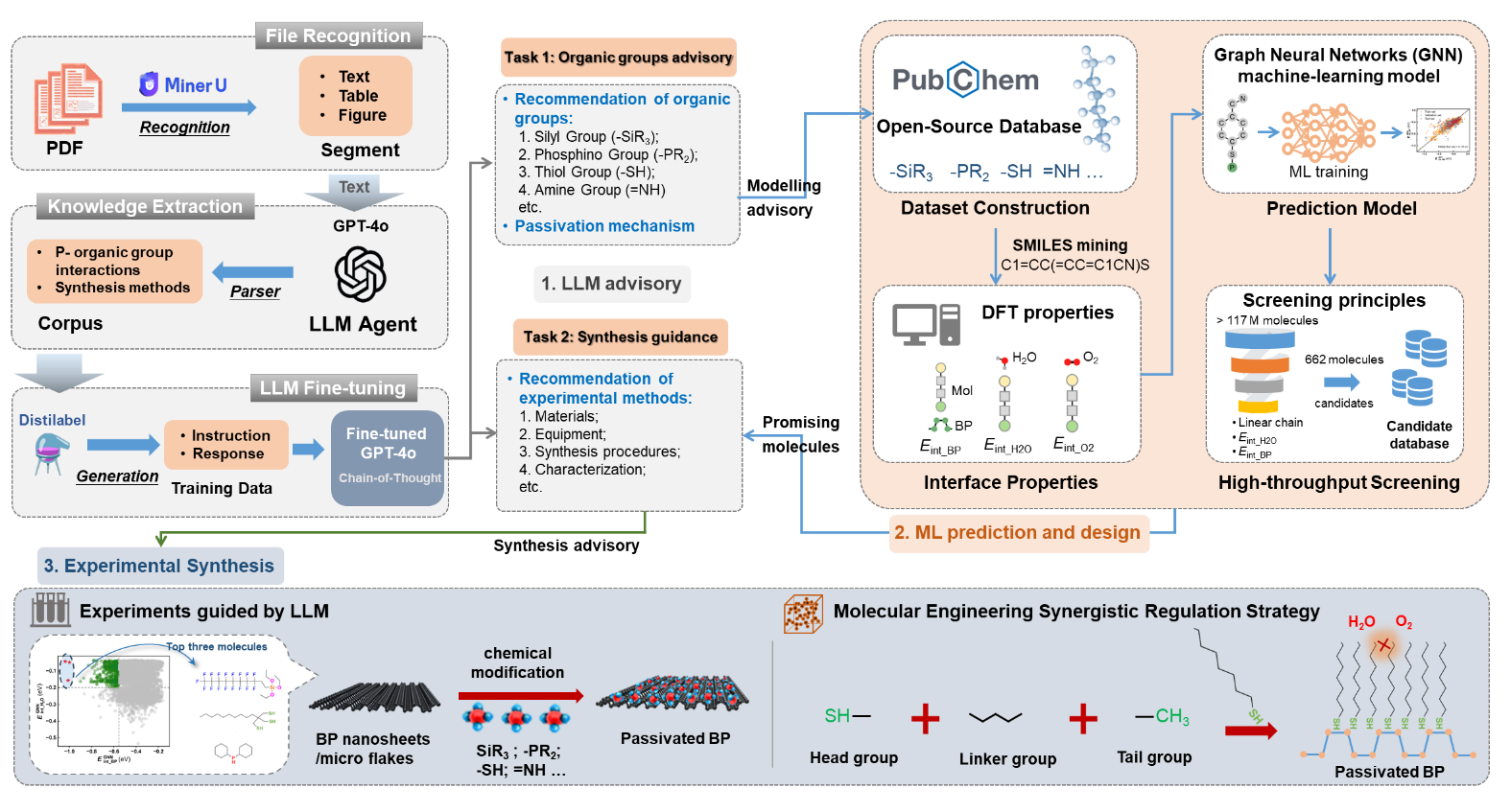 beat365在线体育app