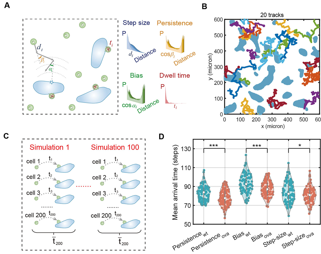 beat365在线体育app