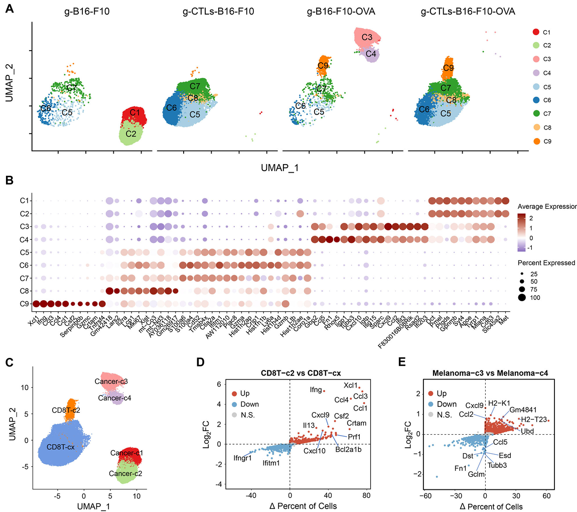 beat365在线体育app