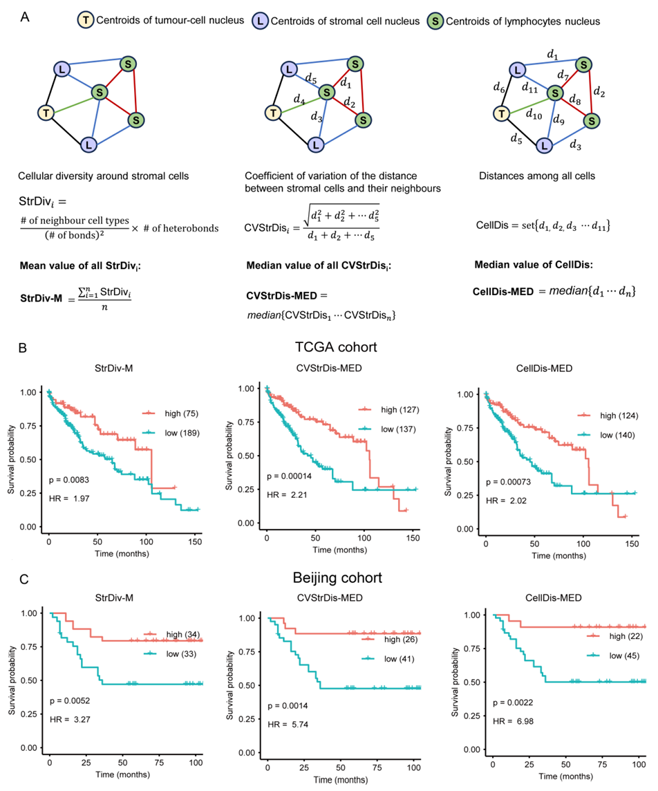 beat365在线体育app