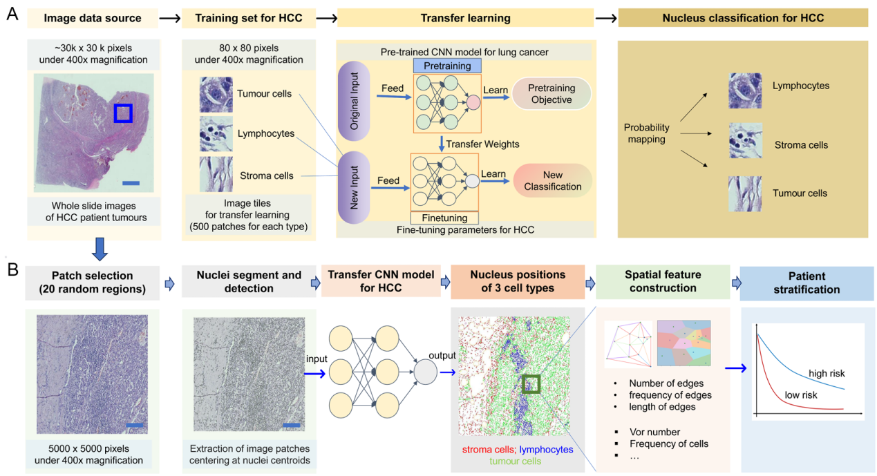 beat365在线体育app