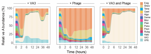 beat365在线体育app