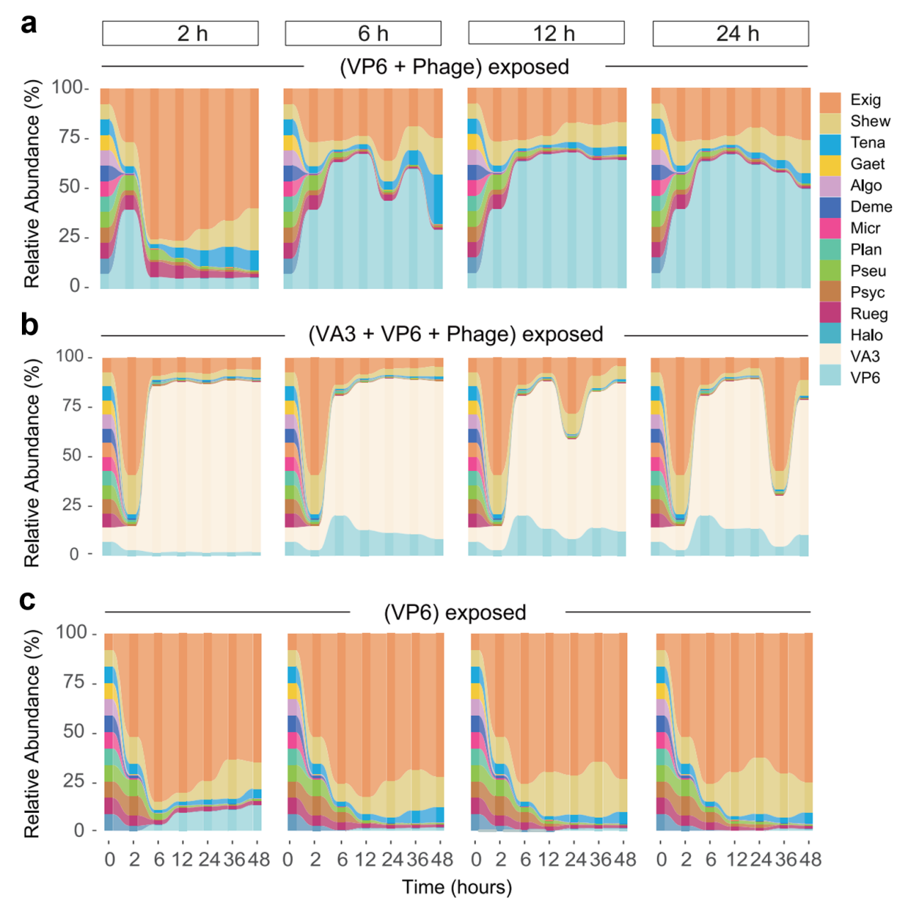 beat365在线体育app