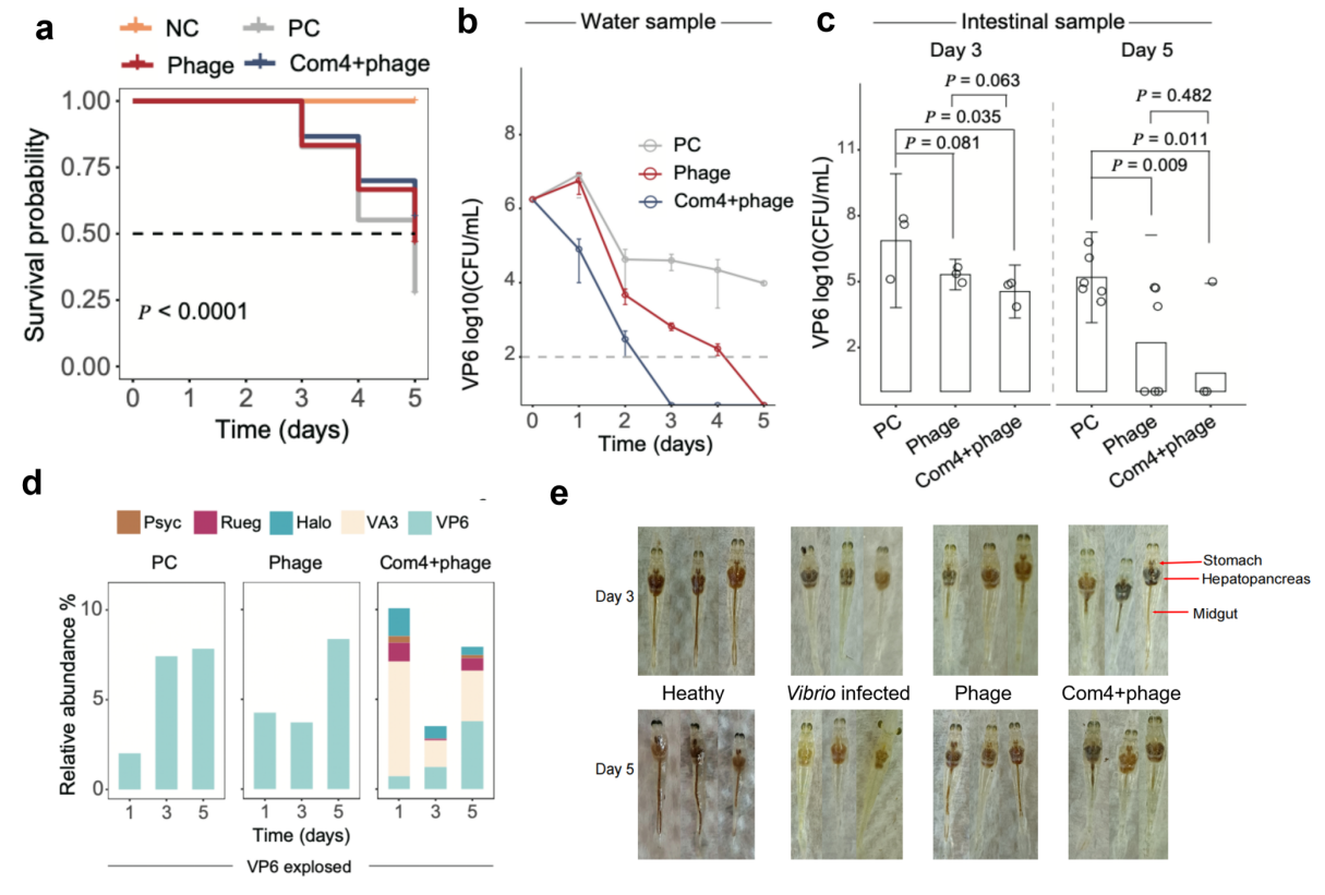 beat365在线体育app