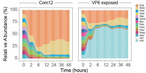 beat365在线体育app