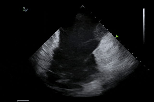 beat365在线体育app