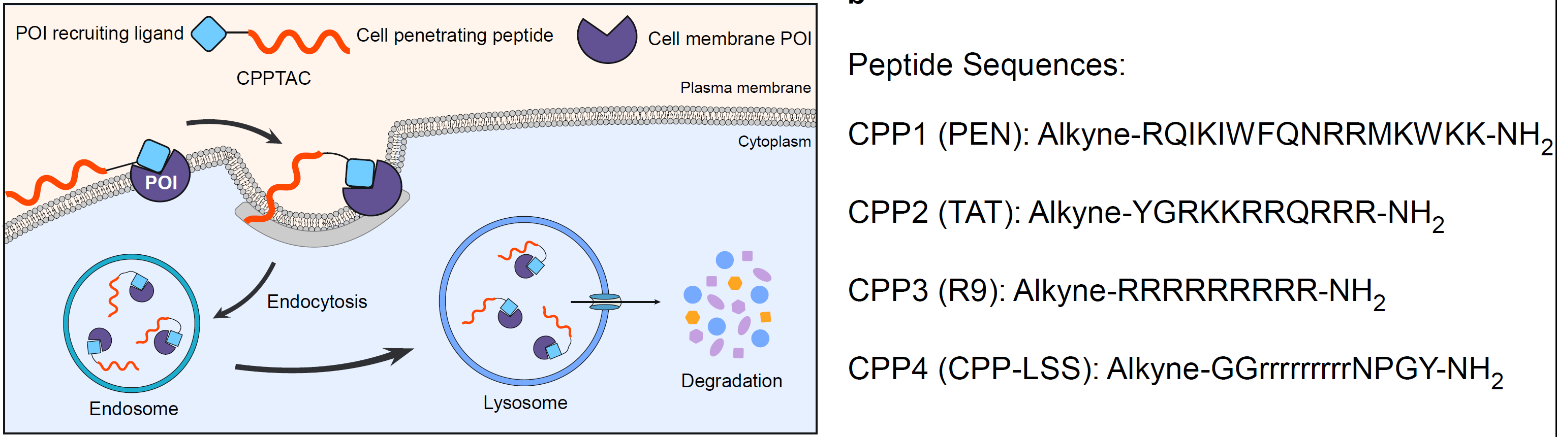beat365在线体育app