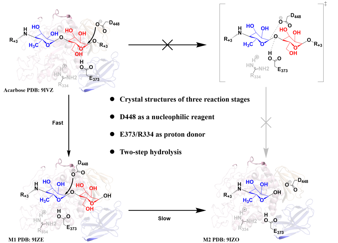 beat365在线体育app