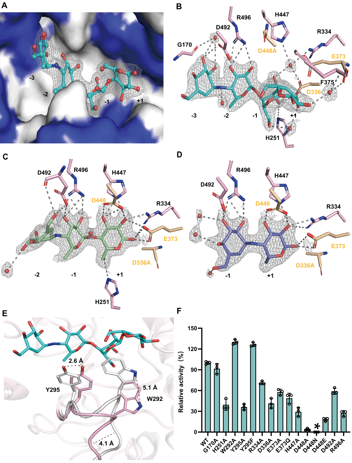 beat365在线体育app