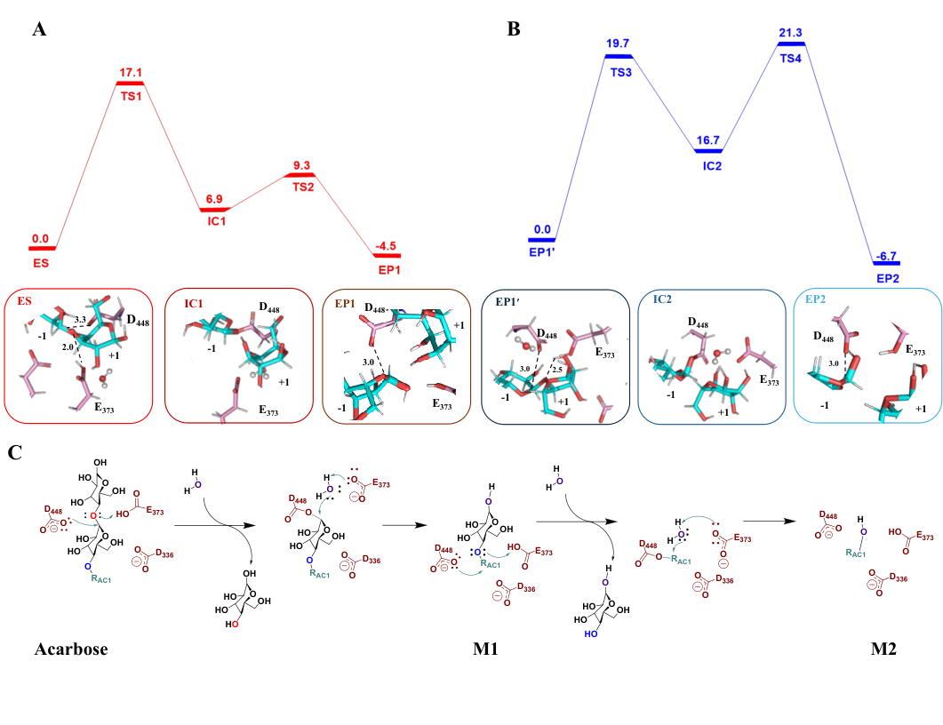 beat365在线体育app