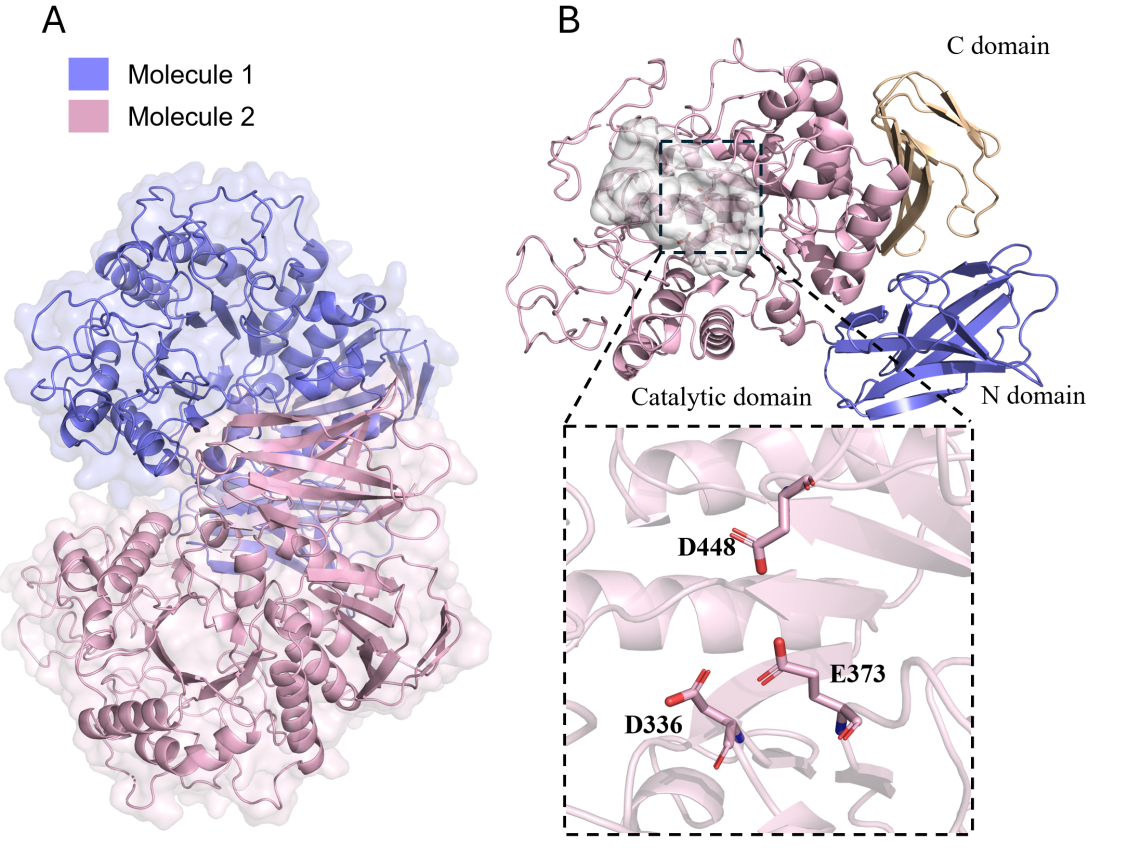 beat365在线体育app