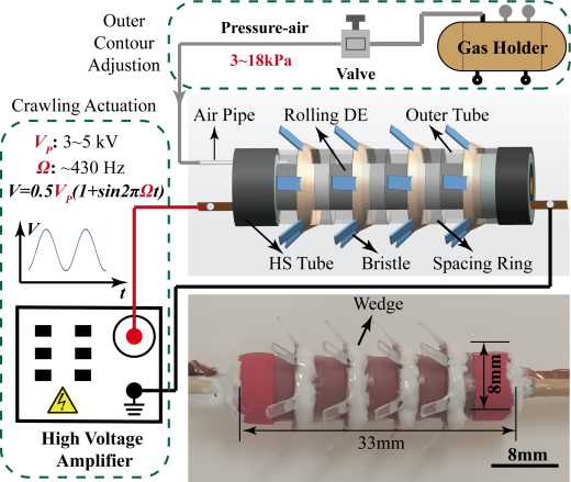 beat365在线体育app