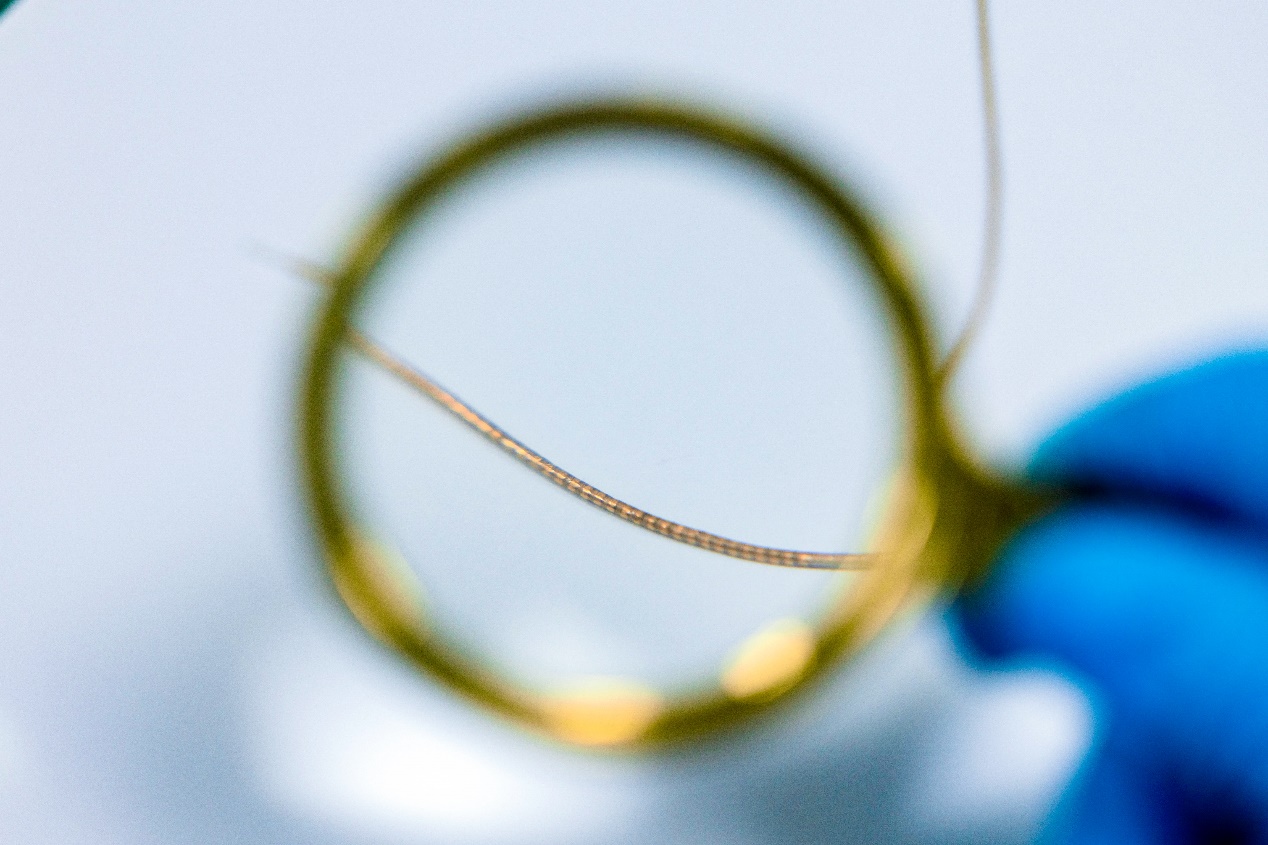 beat365在线体育app