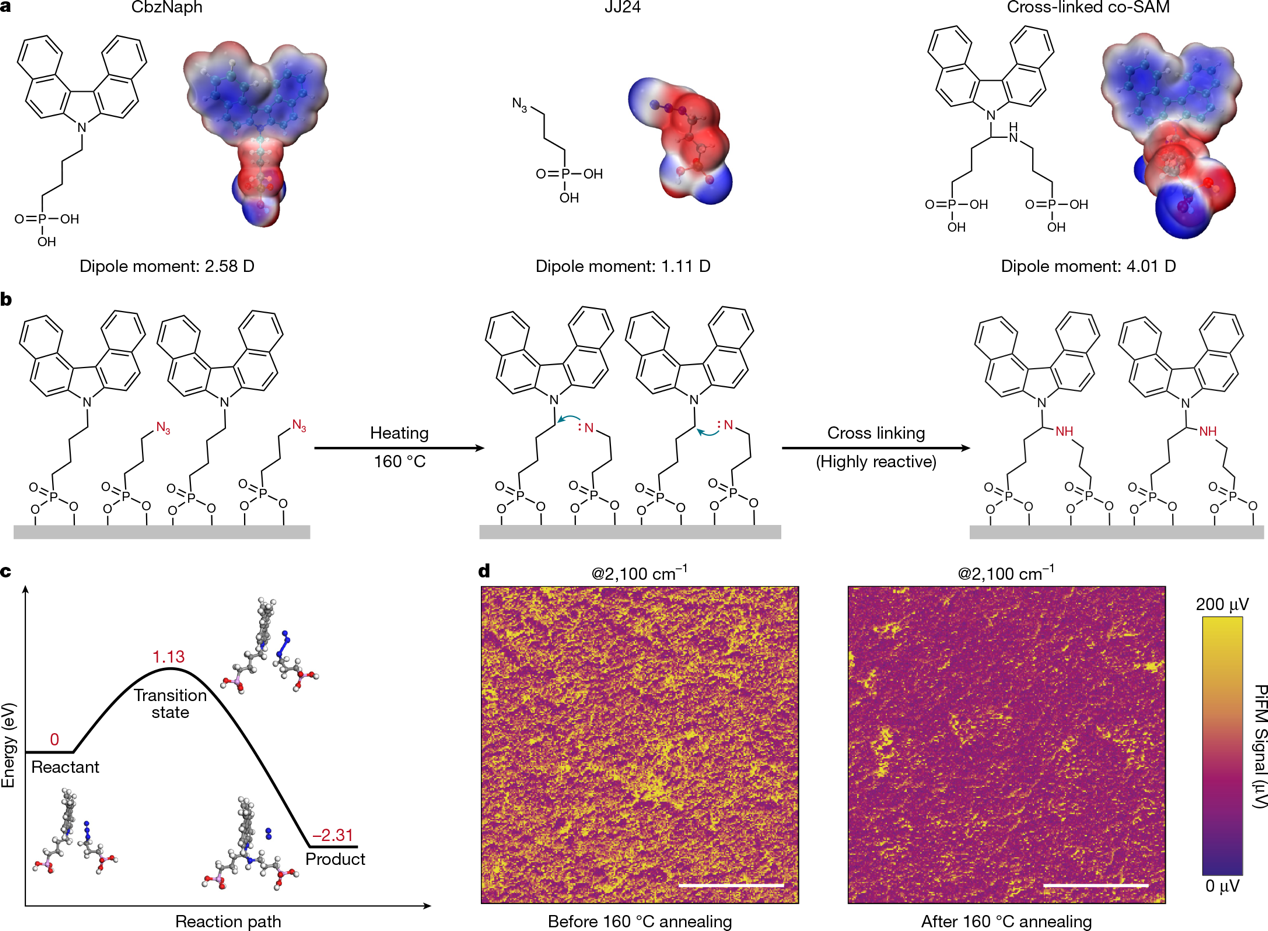 beat365在线体育app