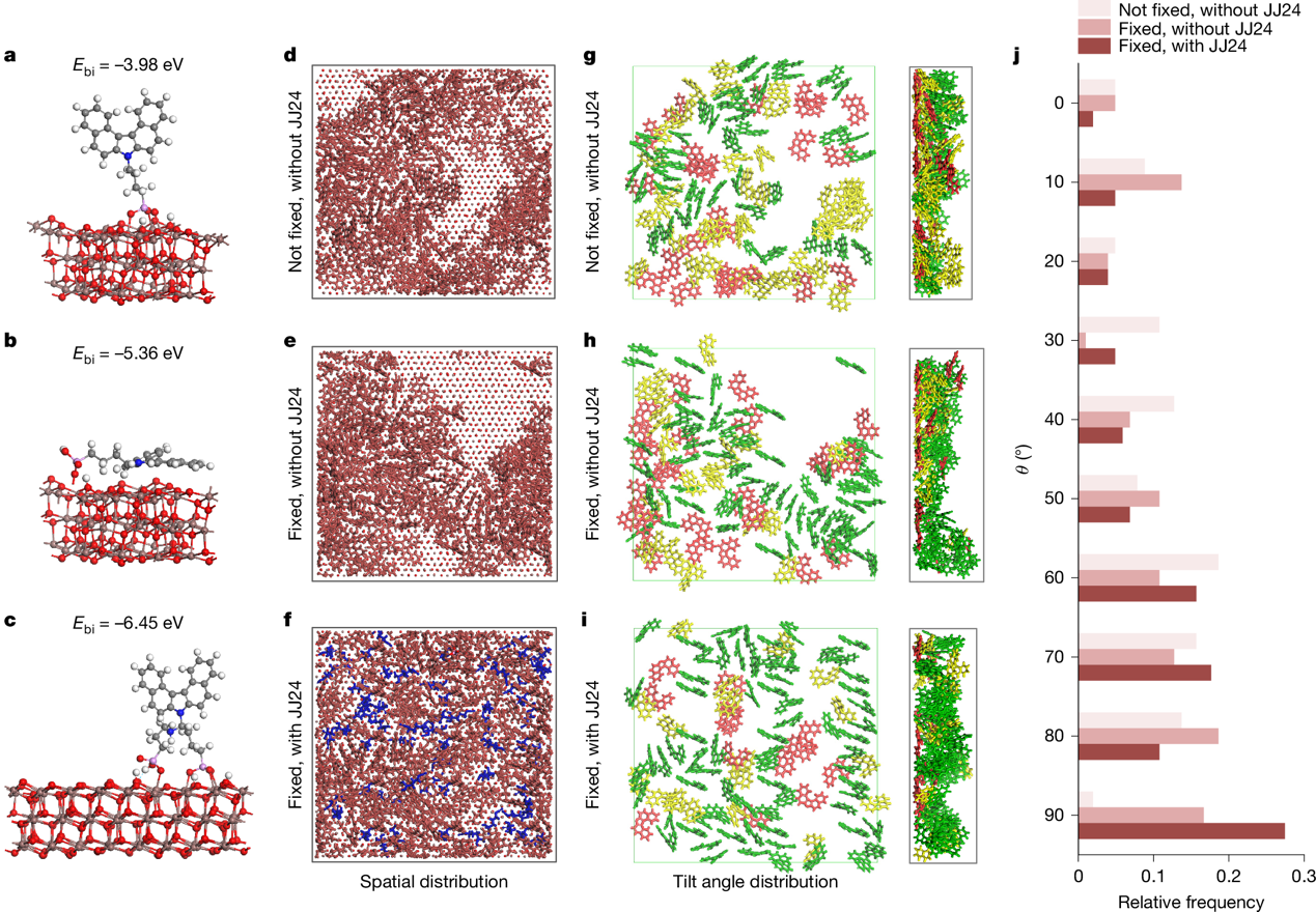 beat365在线体育app
