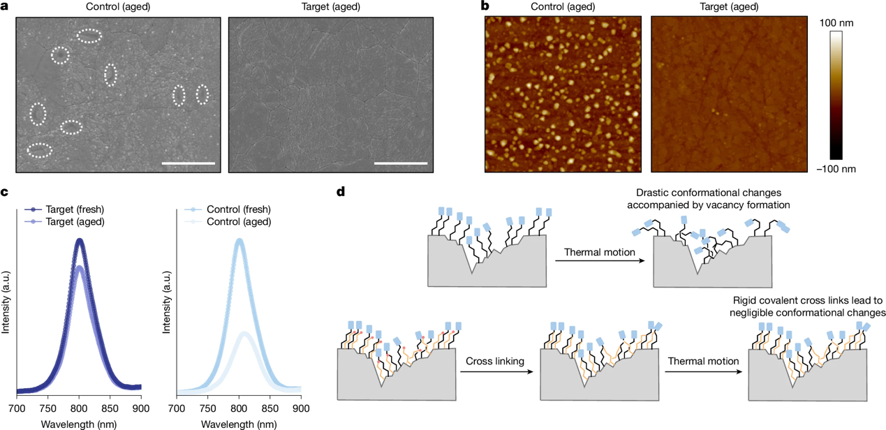 beat365在线体育app