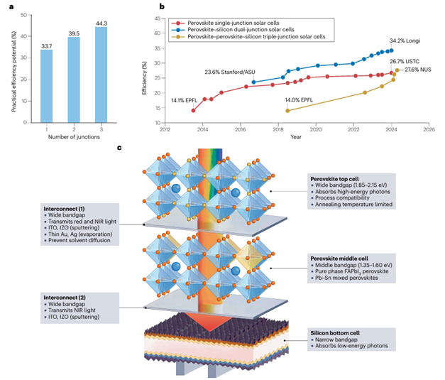 beat365在线体育app