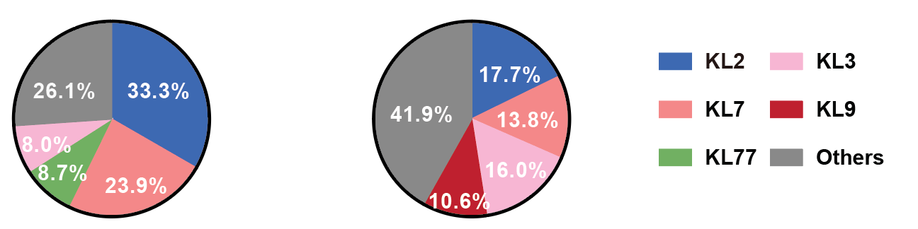 beat365在线体育app