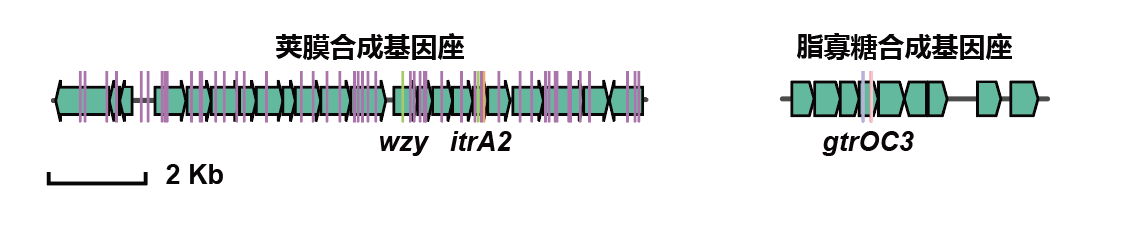 beat365在线体育app