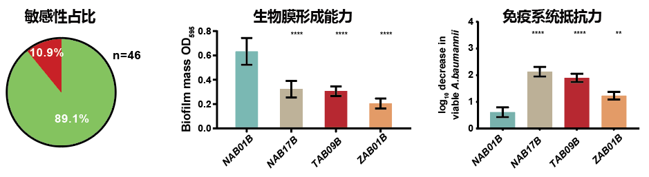 beat365在线体育app