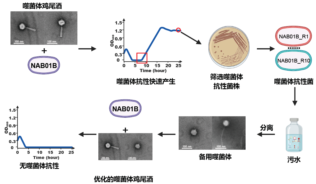 beat365在线体育app