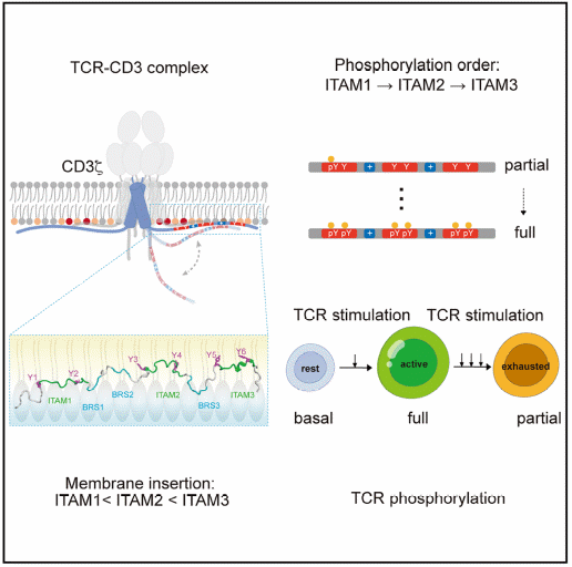beat365在线体育app