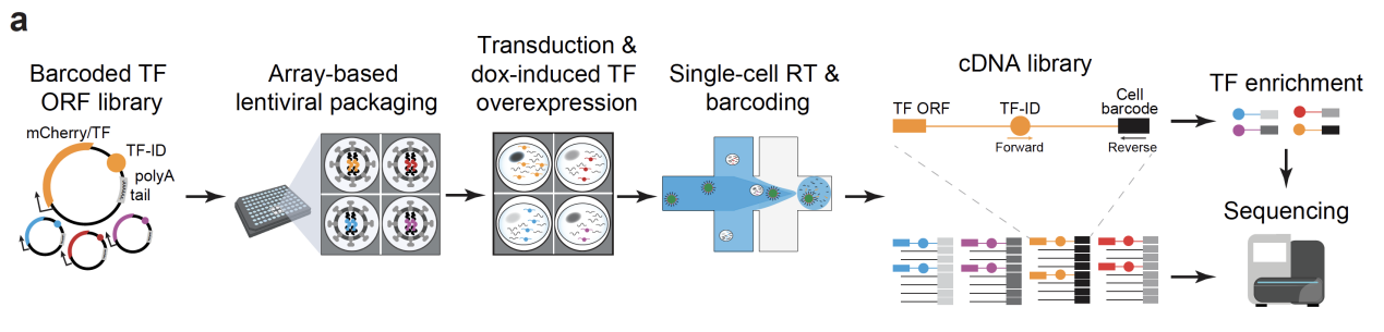 beat365在线体育app