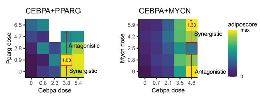 beat365在线体育app
