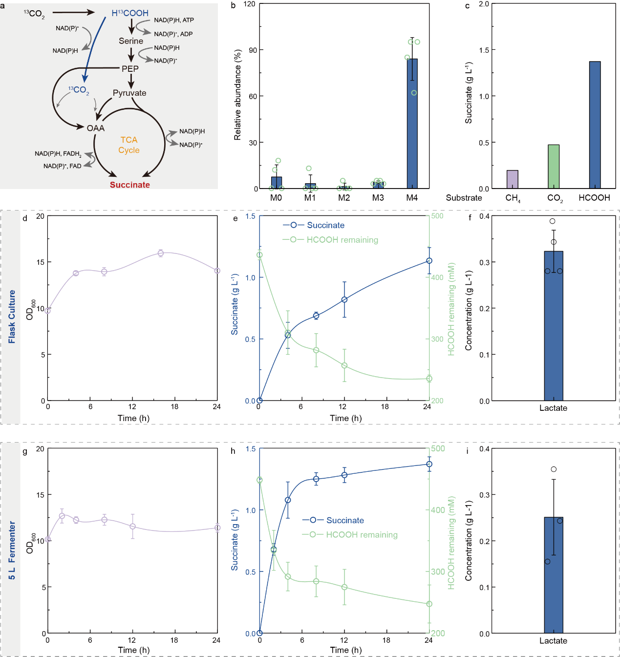 beat365在线体育app
